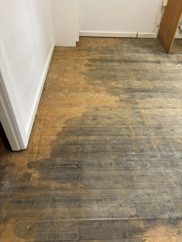 Before and After Professional Floor Sanding